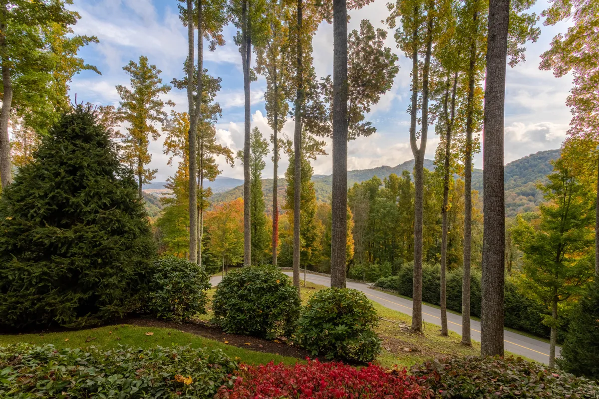 A panoramic view showcasing tall trees, flowering shrubs, a curved road, and a breathtaking mountain backdrop. The scene invites outdoor activities like hiking and offers a sense of peaceful retreat into nature.